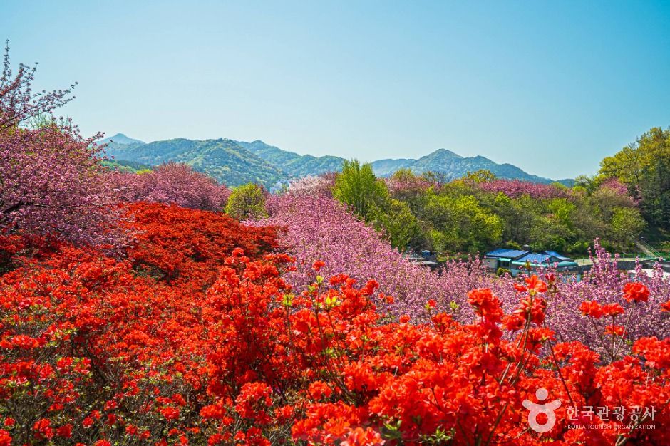 완산공원 공식 관광자료 제공 사진 실제 사진