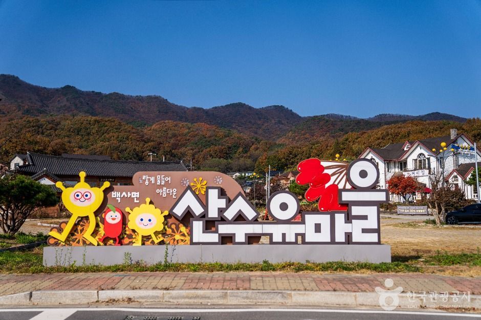이천 산수유마을 공식 관광자료 제공 사진 실제 사진
