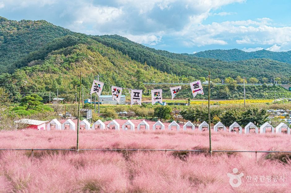 꽃객프로젝트 공식 관광자료 제공 사진 실제 사진