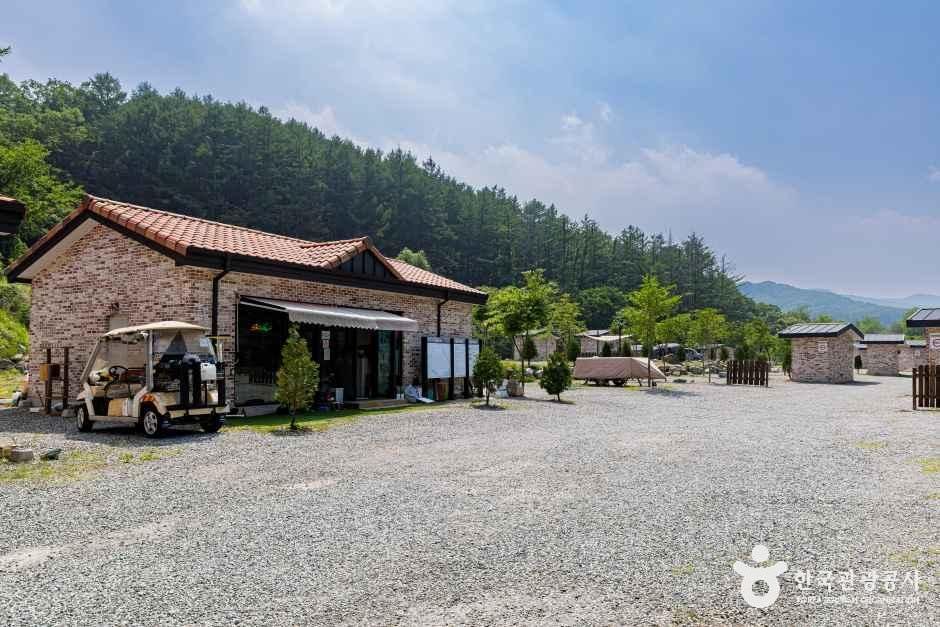 스타밸리캠핑장 공식 관광자료 제공 사진 실제 사진
