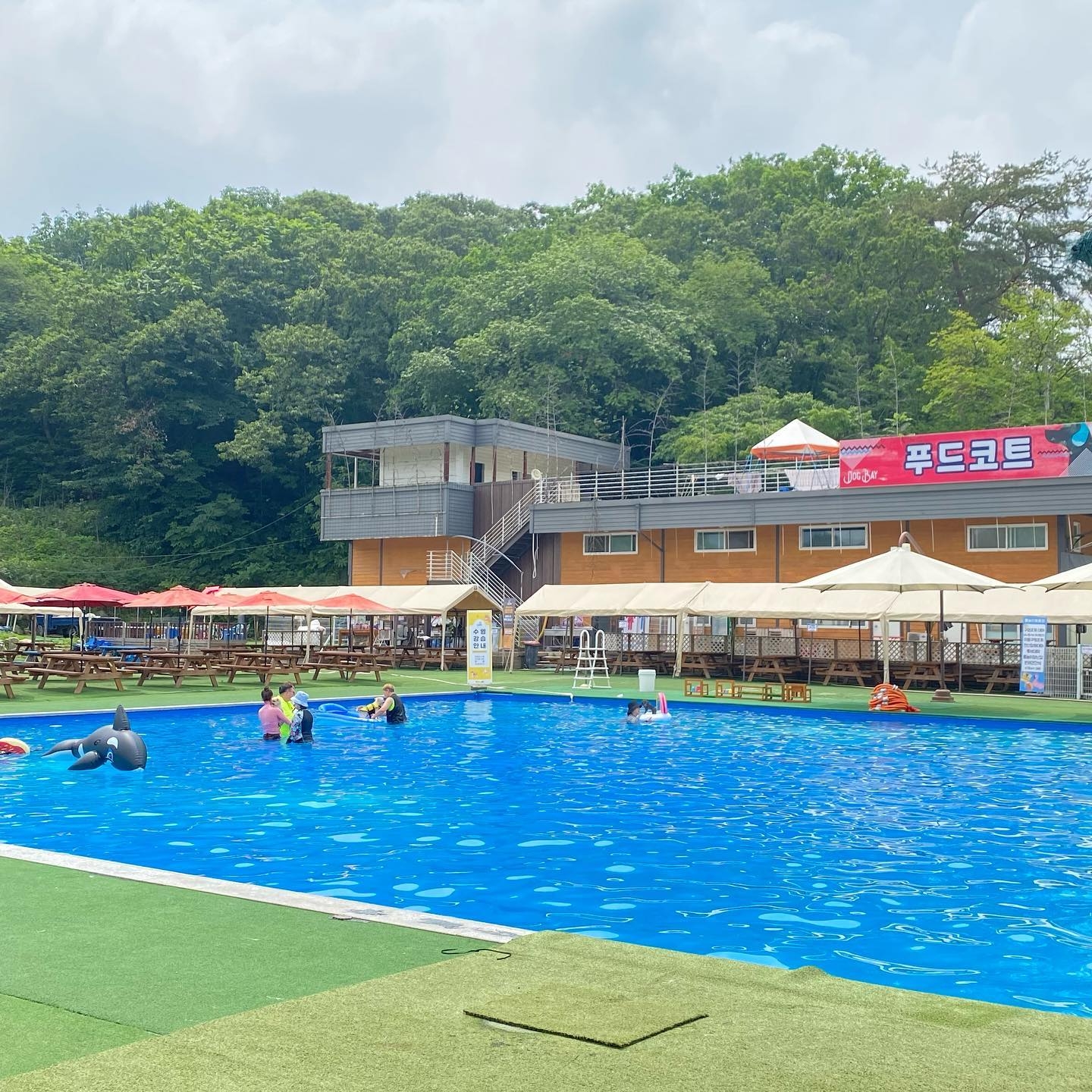 도그스포지움 송추점 공식 관광자료 제공 사진 실제 사진